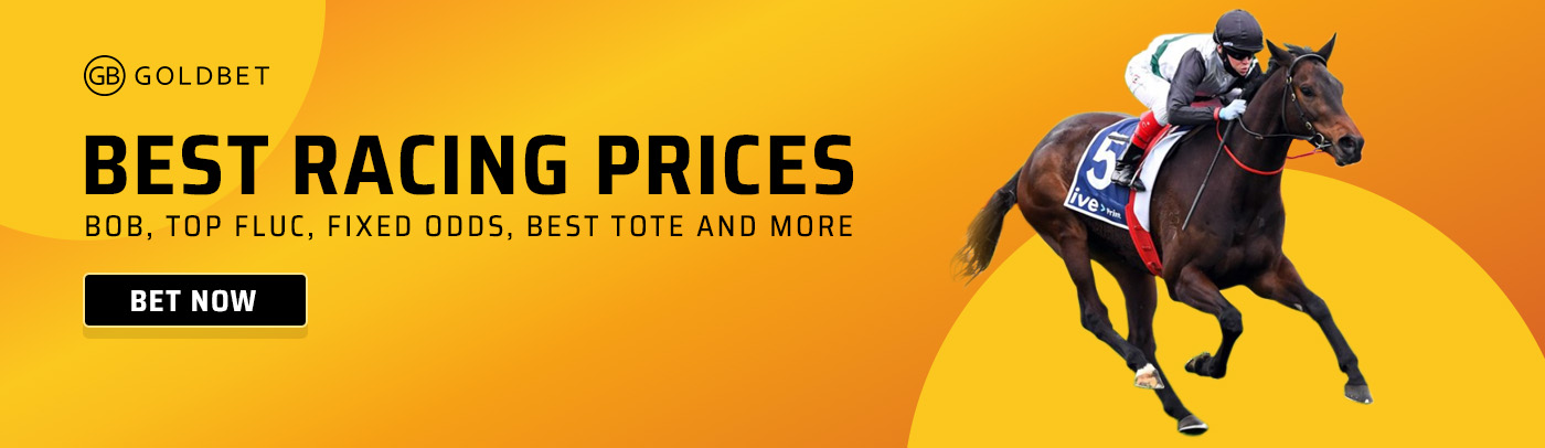 GoldBet Racing Interface